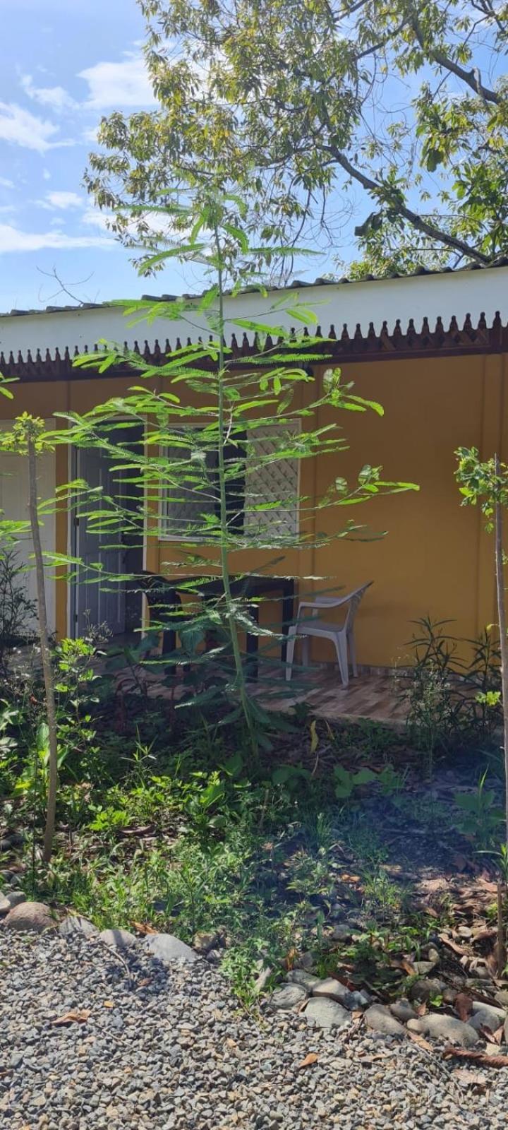 Apartamentos Sol 卡维塔 客房 照片